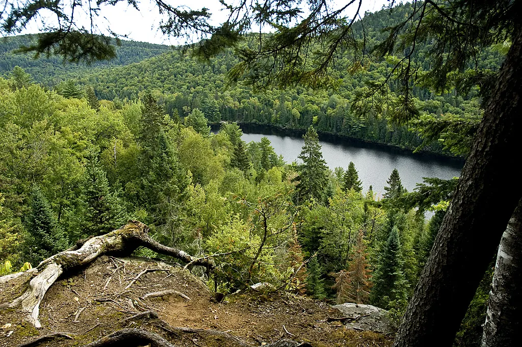 Sentier des Falaises et forêt du parc national de la Mauricie