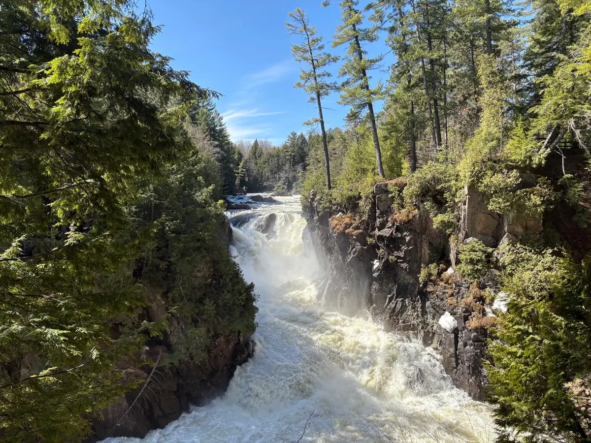 Chutes Dorwin au cœur de la forêt à Rawdon