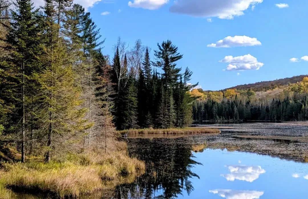 Lac calme reflétant la forêt et le ciel dans les Laurentides